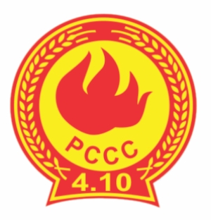 Partner 3