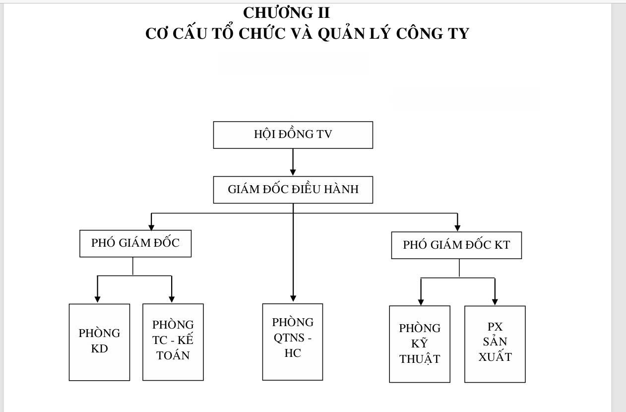 Sơ đồ tổ chức công ty